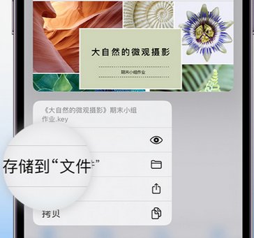 大宁apple维修中心分享iPhone文件应用中存储和找到下载文件