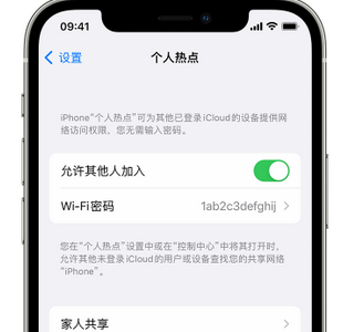 大宁apple服务站点分享iPhone上个人热点丢失了怎么办 