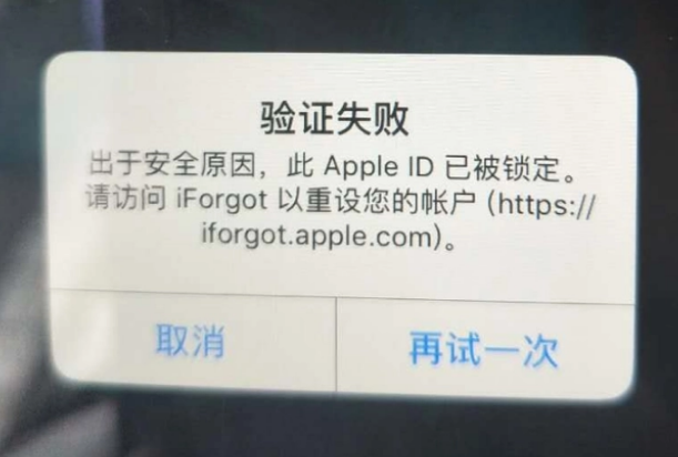 大宁iPhone维修分享iPhone上正常登录或使用AppleID怎么办 