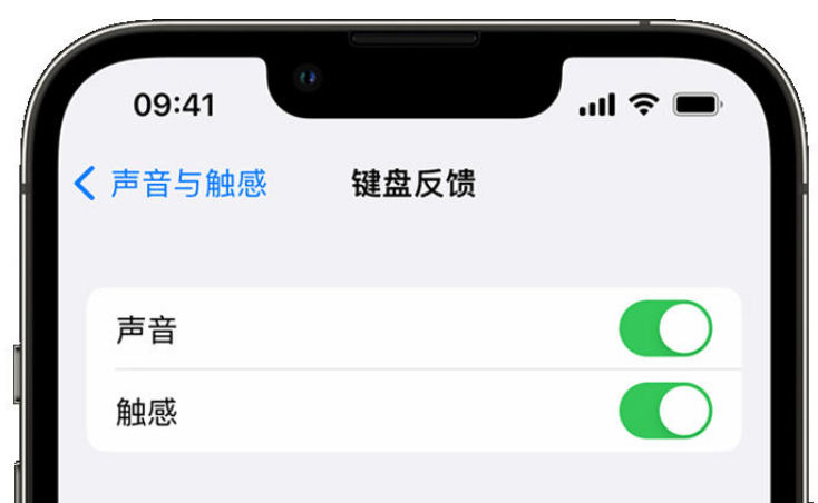 大宁苹果手机维修分享iPhone 14触感键盘使用方法 