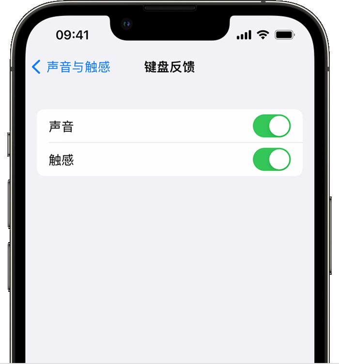 大宁苹果14维修店分享如何在 iPhone 14 机型中使用触感键盘 