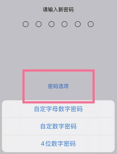 大宁苹果14维修分享iPhone 14plus设置密码的方法 