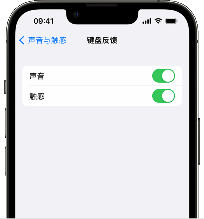 大宁苹果14维修分享iPhone 14 系列机型如何开启键盘声音或触感反馈 