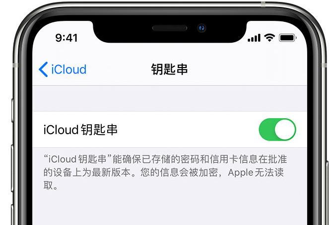 大宁苹果手机维修分享在 iPhone 上开启 iCloud 钥匙串之后会储存哪些信息 