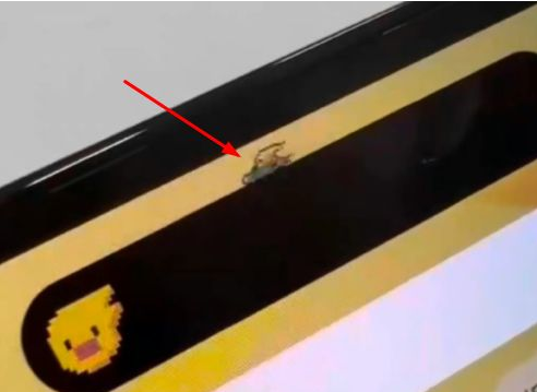 大宁苹果14维修分享iPhone 14 Pro Max灵动岛怎么养宠物 