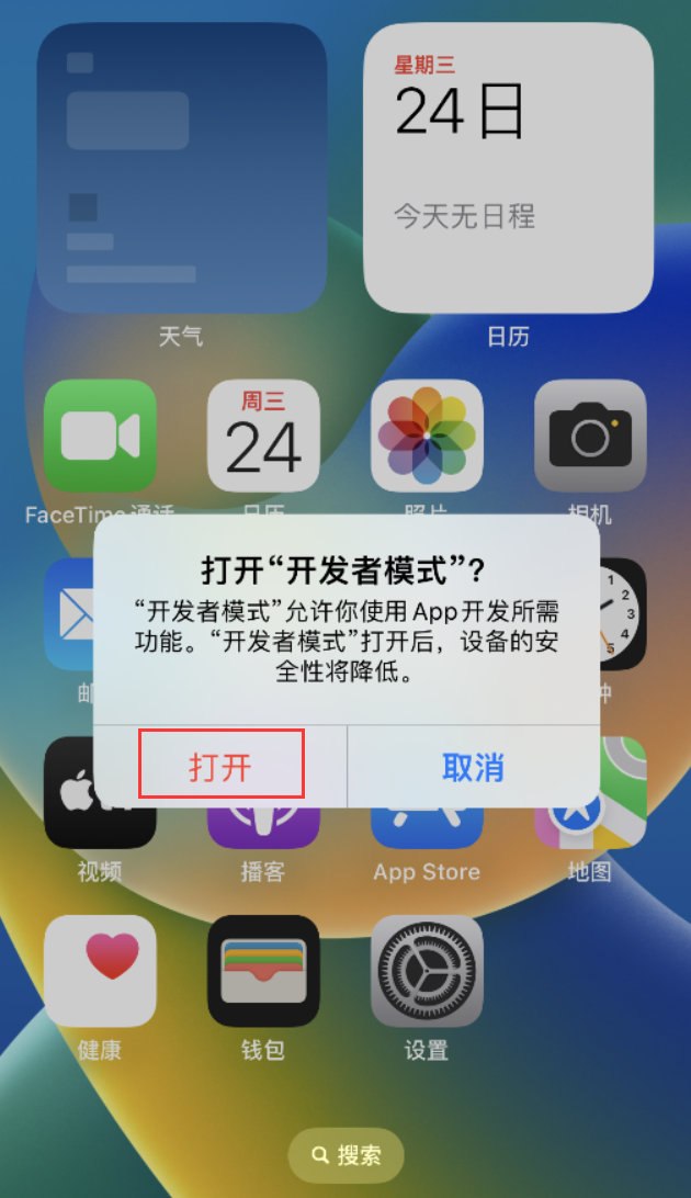 大宁苹果手机维修分享如何打开开发者模式 