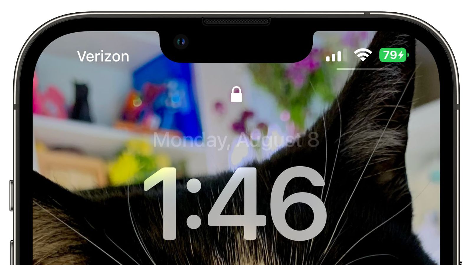 大宁苹果手机维修分享iOS 16 beta 5 支持状态栏显示电池百分比，如何开启？支持哪些机型 