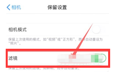 大宁苹果13维修分享iPhone13拍照有绿点是怎么回事 