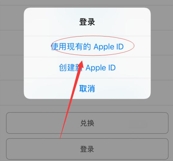 大宁苹果手机维修分享两台iPhone设备可以同时登录一个Apple ID吗 