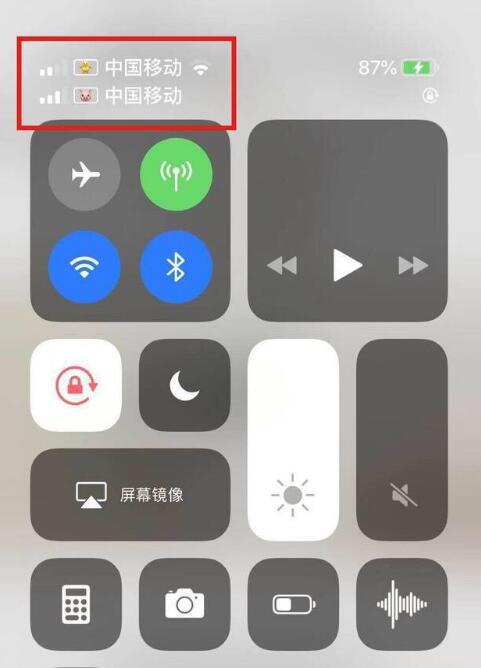 大宁苹果手机维修分享为 iPhone 12 双卡设置标签 