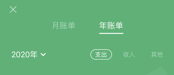 大宁苹果手机维修分享如何在 iPhone 上查看支付宝和微信年支出账单 